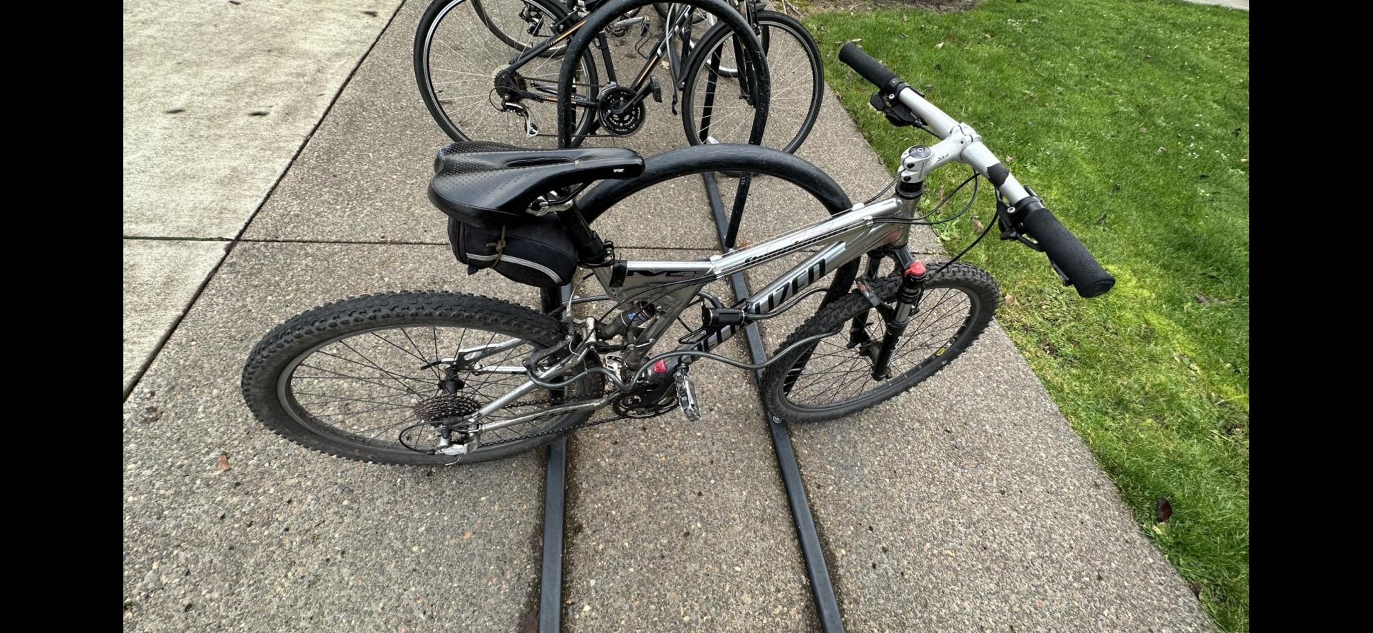 2004 Specialized Stumpjumper Silver, gray or bare metal