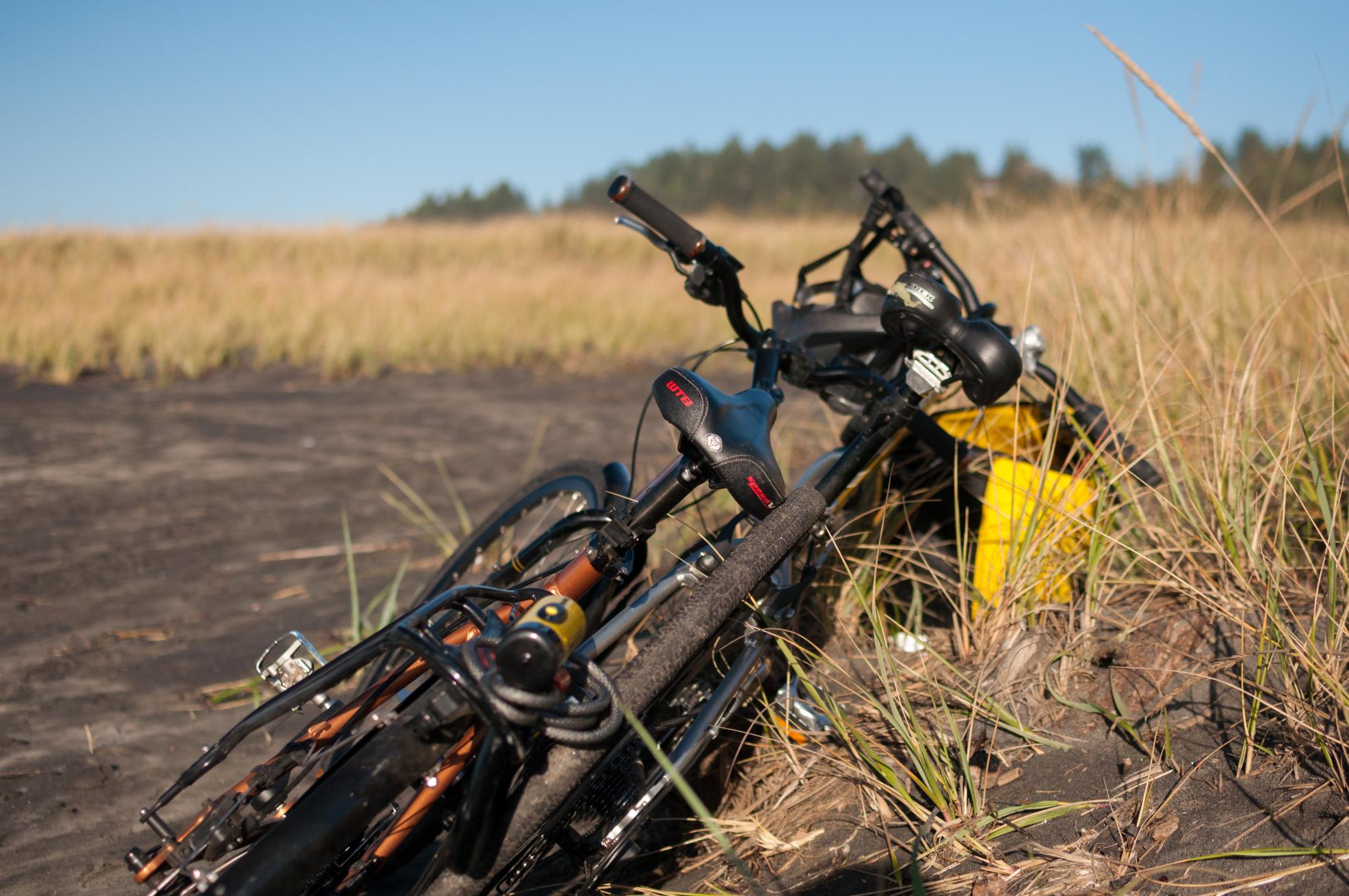 Trek 7300  Silver or Gray