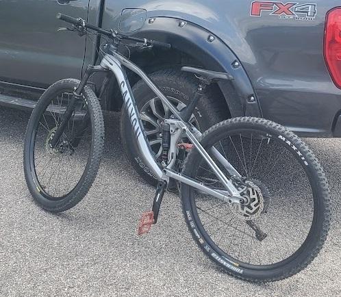 2019 Canyon bicycles Neuron 6 AL Large Silver, gray or bare metal and Black