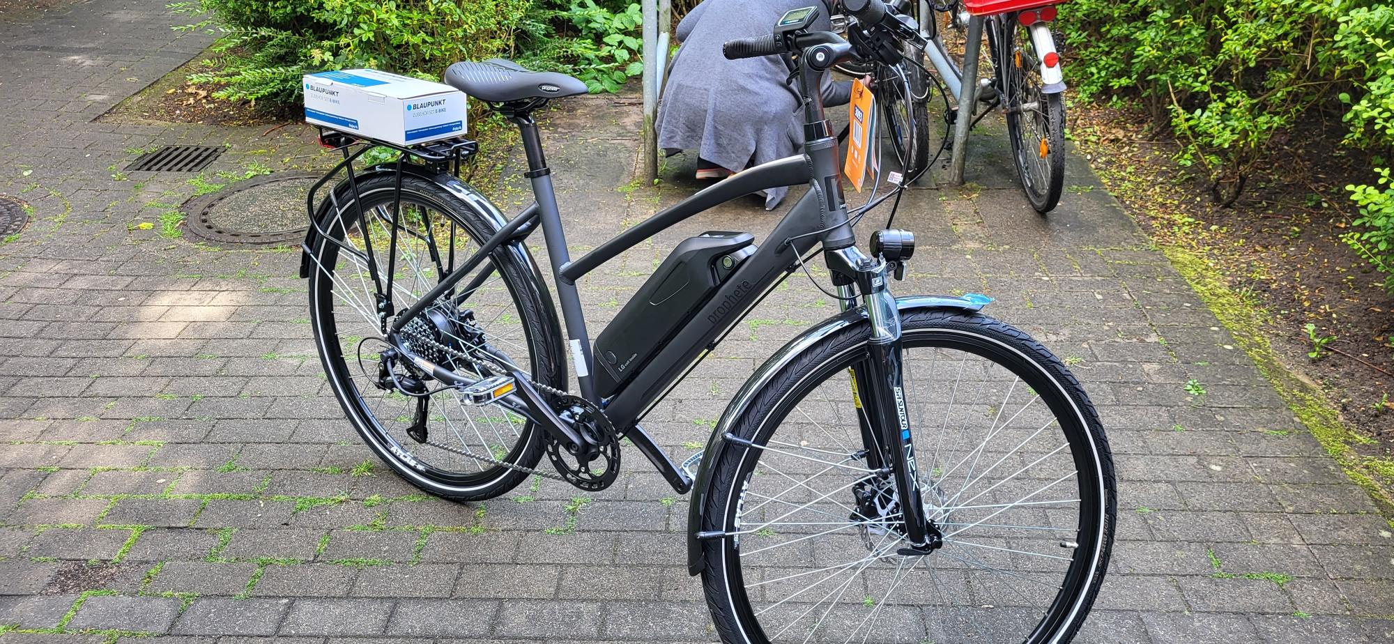 2022 Prophete Alu-Trekking-E-Bike Silver, gray or bare metal and Black