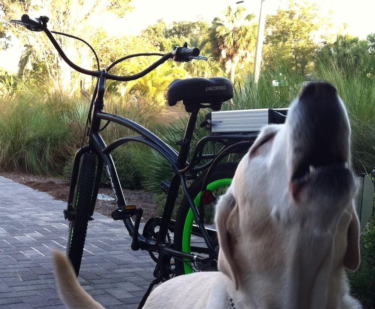 2012 Pedego Classic comfort cruiser Black