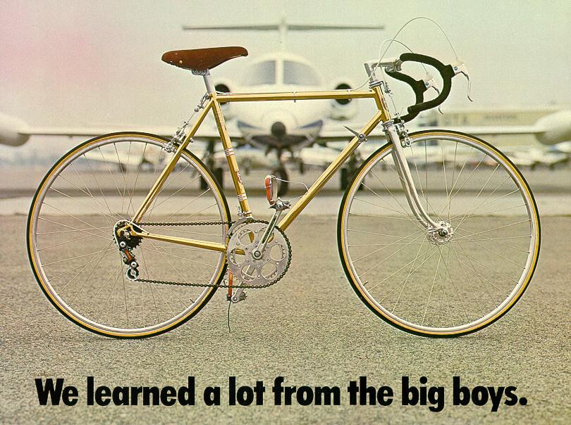 2016 Lambert men's Yellow or Gold