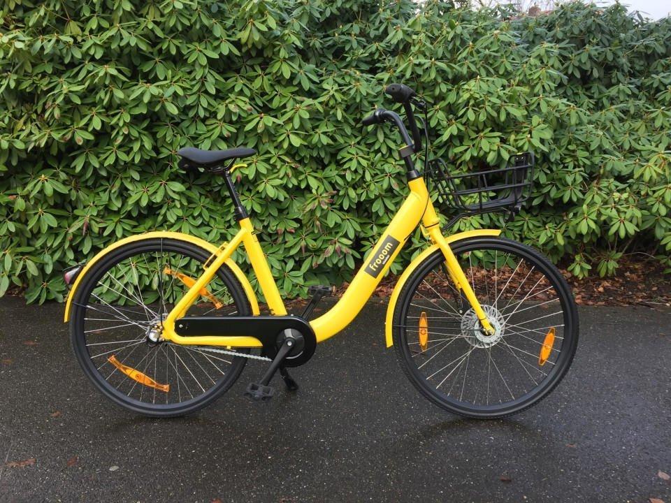 Frooom Yellow or Gold