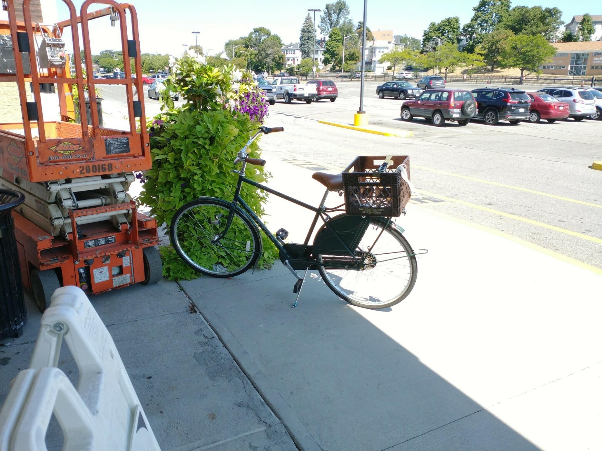 Electra Amsterdam 3i Green