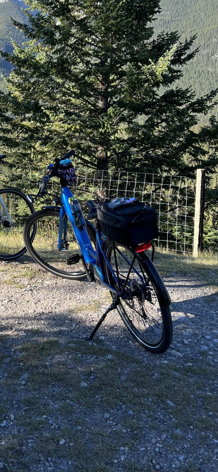2021 Trek Verve Lowstep 3+ Electric Blue