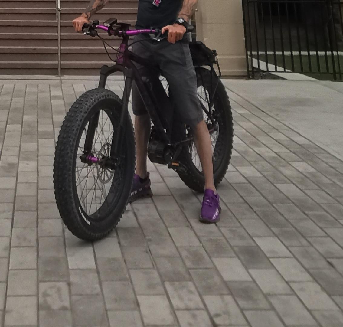 2021 Moose Fat bike Moose Fat bike fb1 Purple