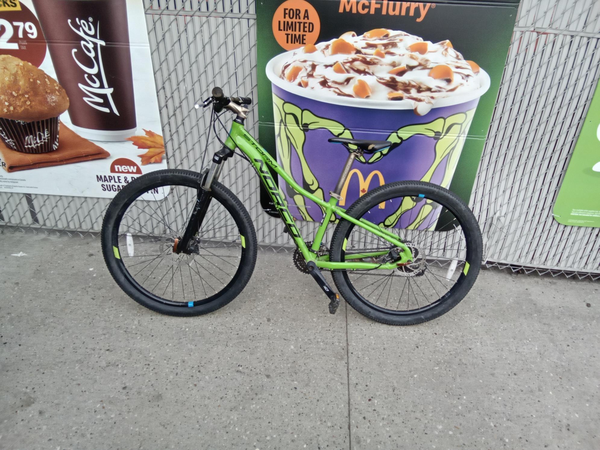 2020 Norco Bikes Storm Green and Black