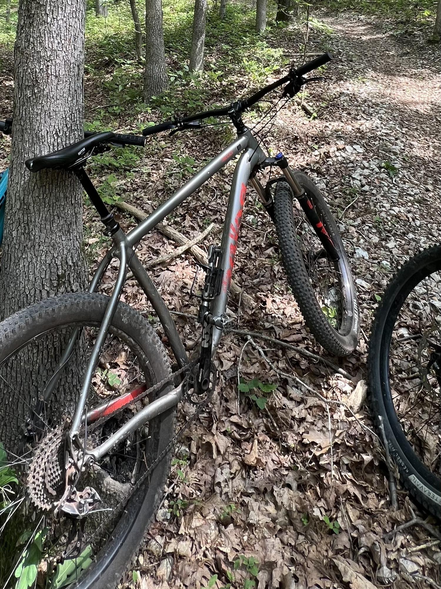 2018 Salsa Timberjack Silver, gray or bare metal