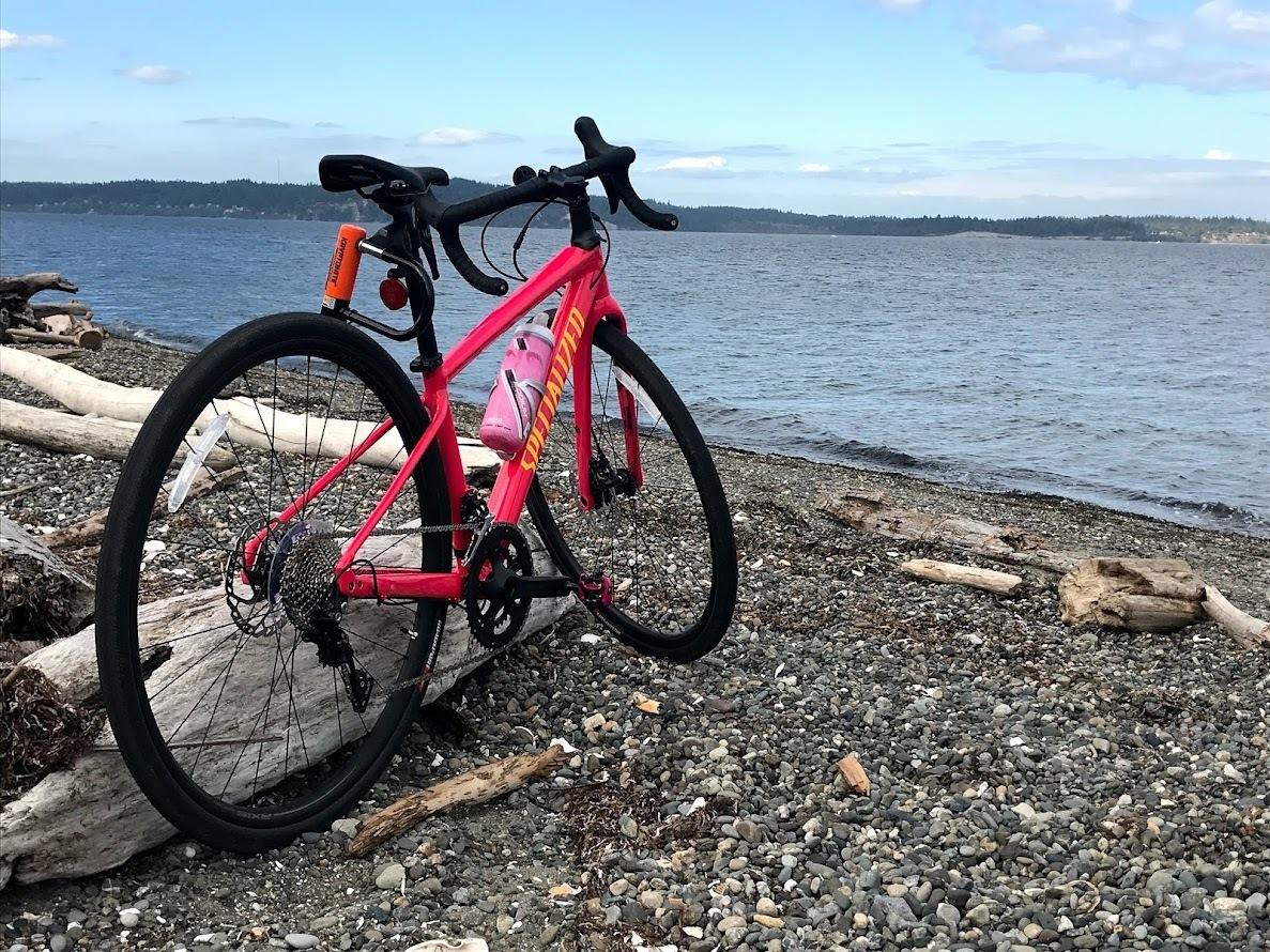 2019 Specialized Diverge E5 Pink