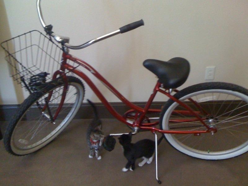 2009 Phat Cycles SeaBreeze  Red