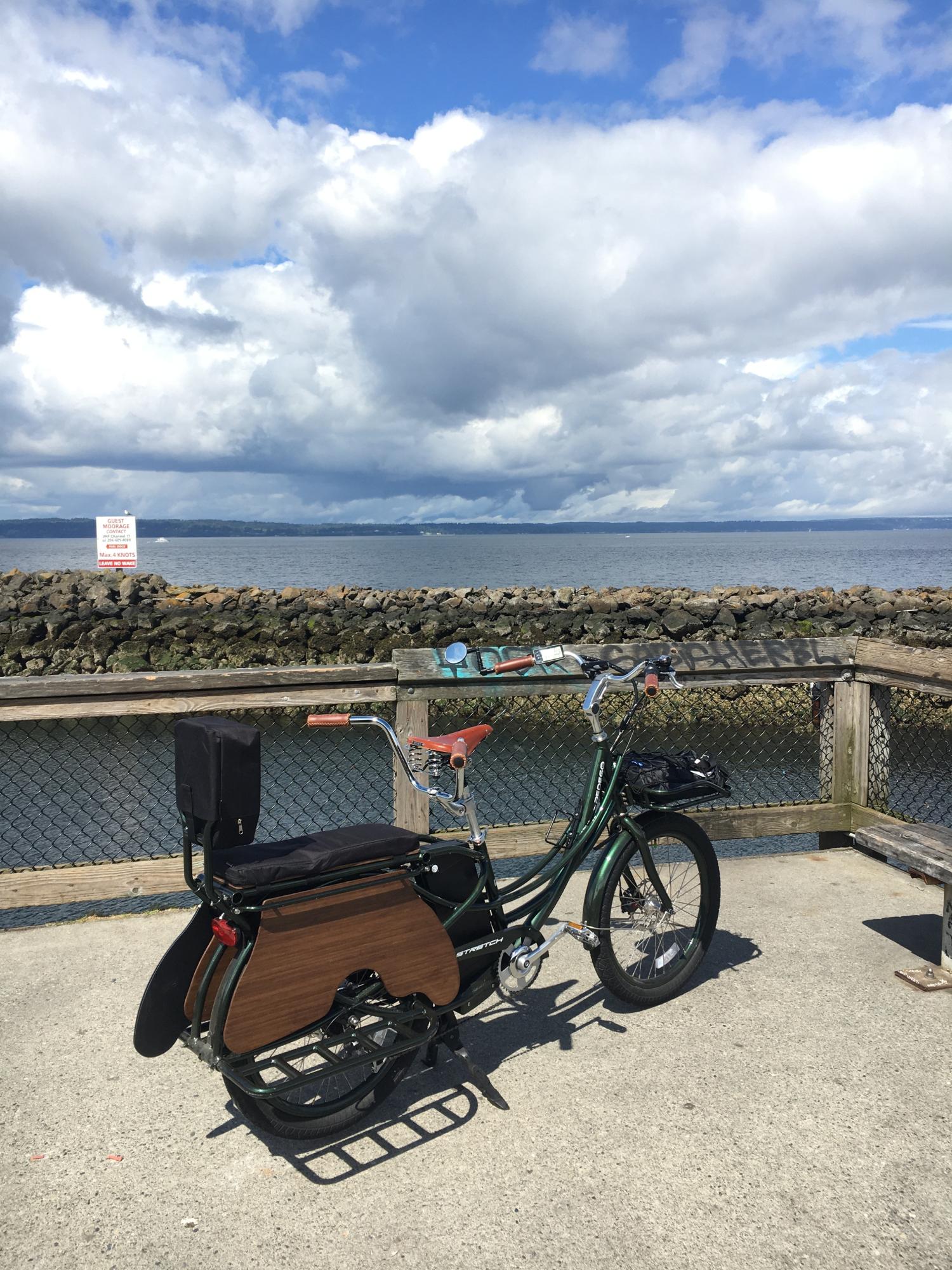 2019 Pedego Stretch cargo bike (rear storage) Green