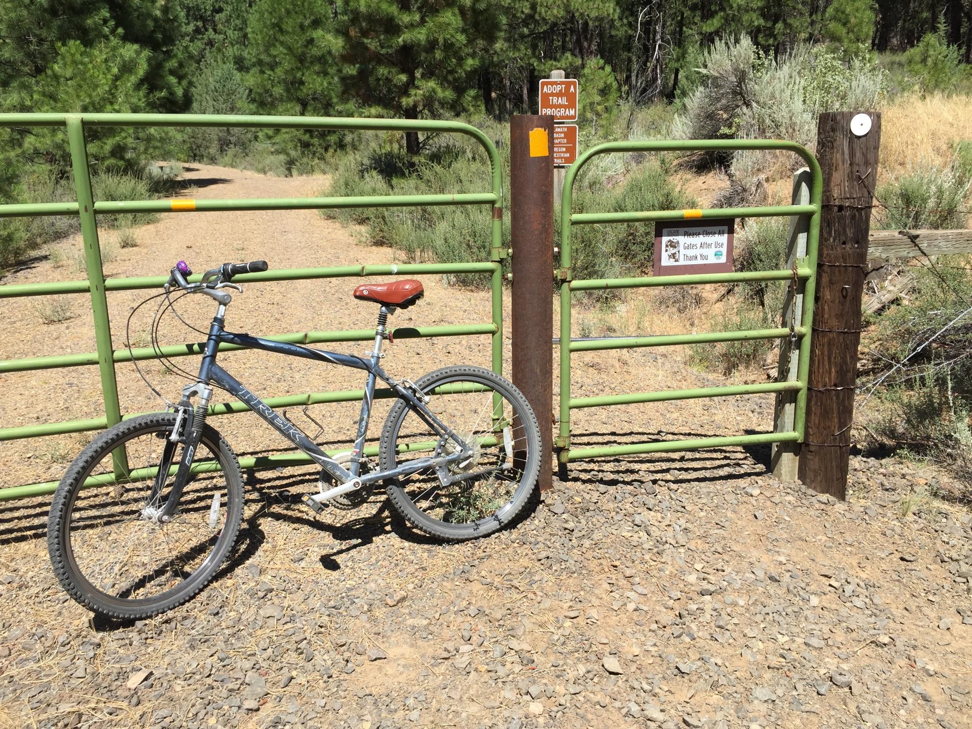 Trek Navigator 300 Silver, gray or bare metal