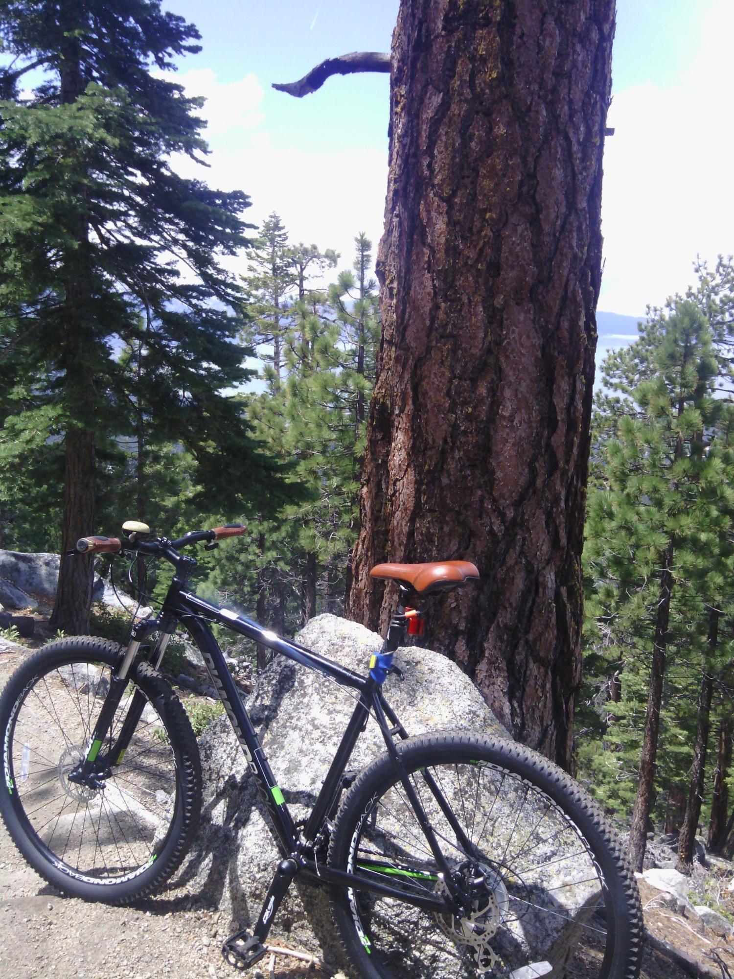 2015 Diamondback Response 29er XL Black