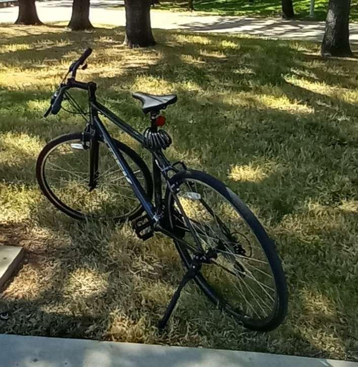 Trek FX 2 Disc Black