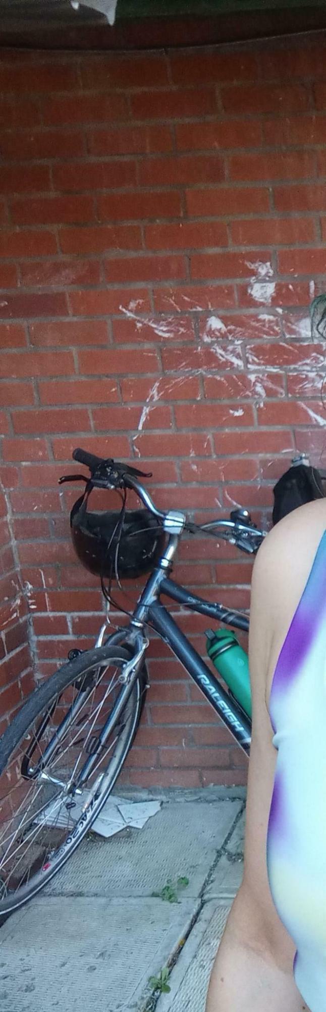 Raleigh Detour Silver, gray or bare metal