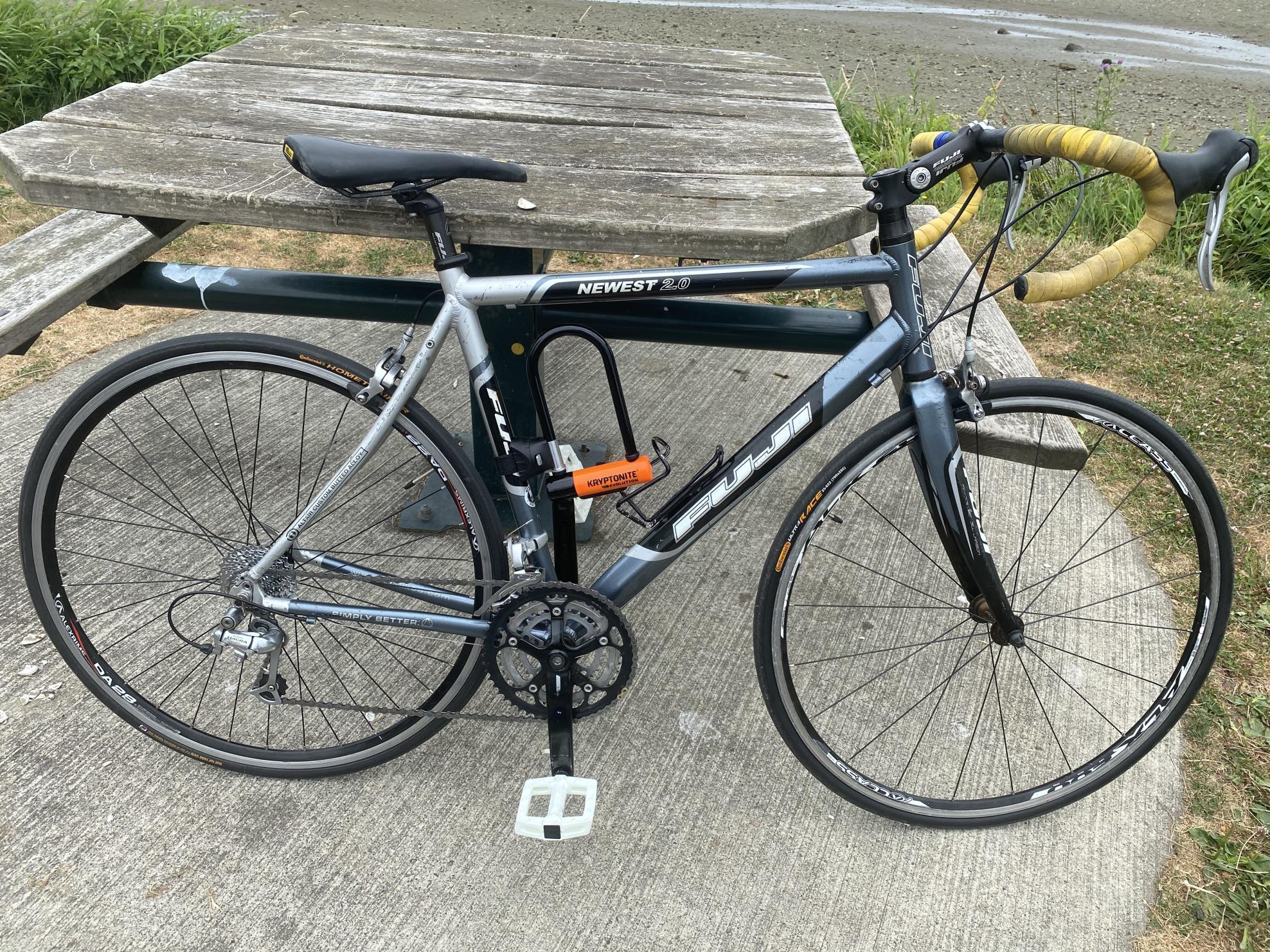 Fuji Newest 2.0 Silver, gray or bare metal and Black