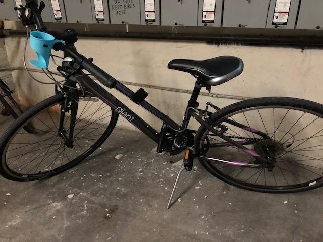 2013 Giant Silver, gray or bare metal