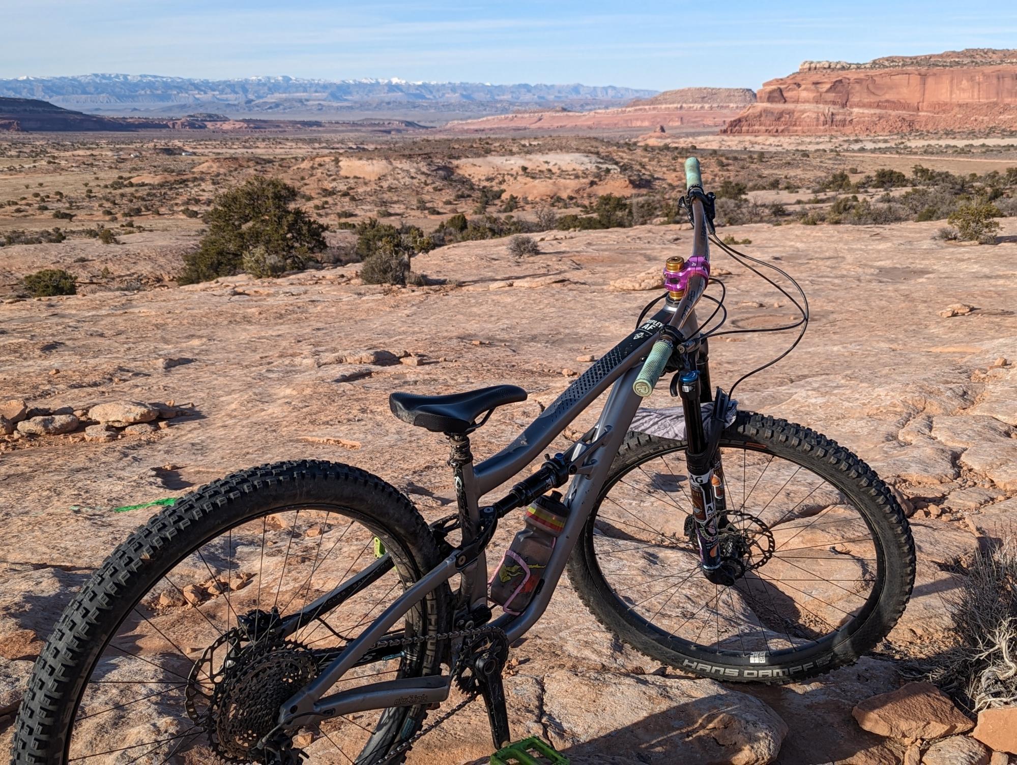 2022 Ibis Ripley AF Silver, gray or bare metal