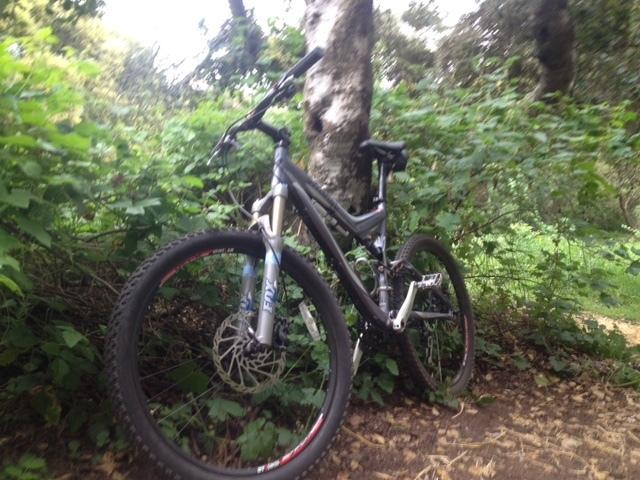 2007 Specialized Stumpjumper FSR Silver or Gray