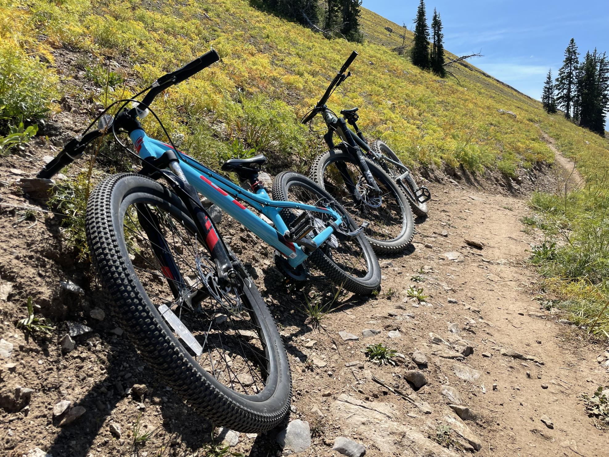 2021 GT Bicycles Youth Stomper Pro 24” Blue