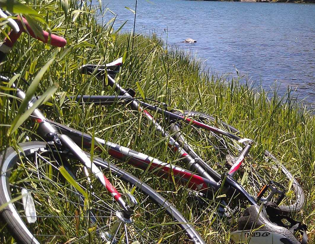 2010 Fuji Newest 1.0 Silver or Gray and Red