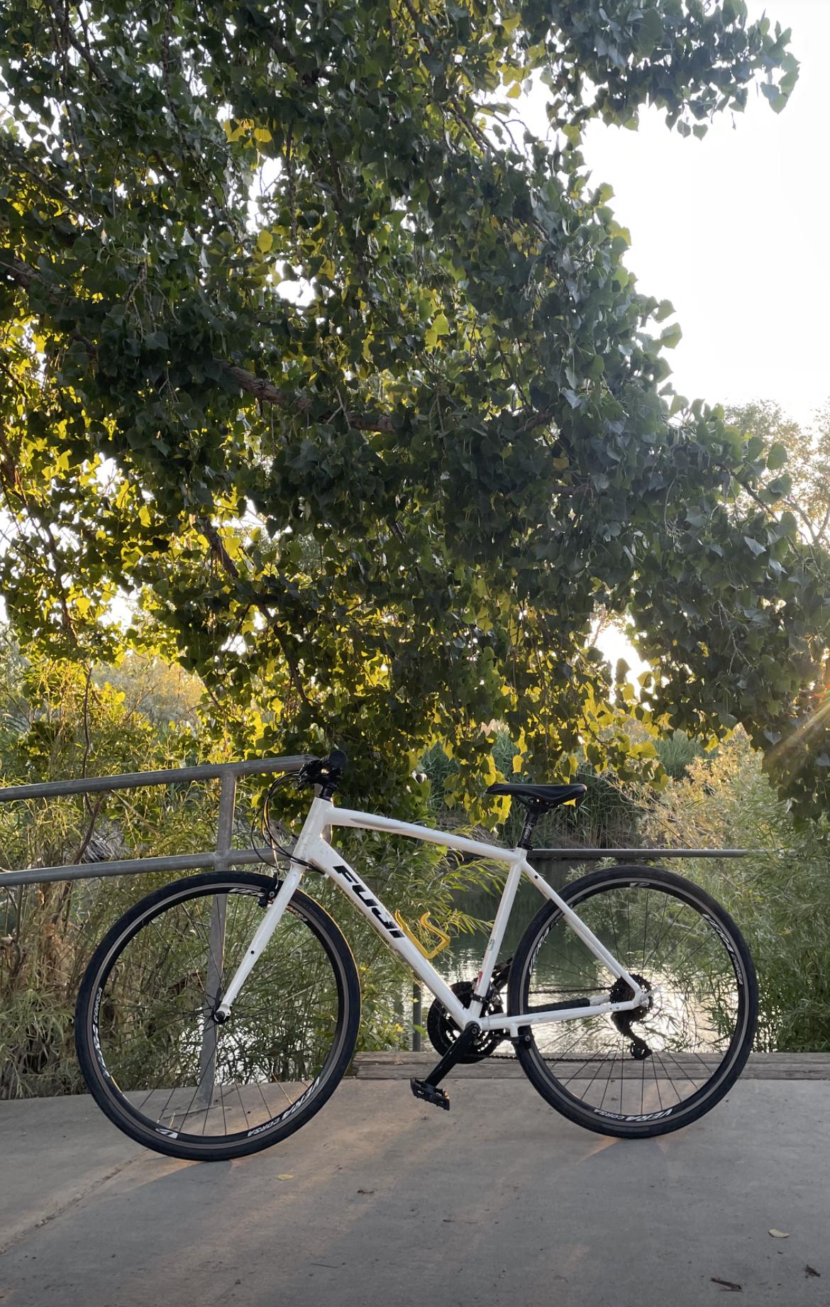 Fuji Absolute 2.0 White