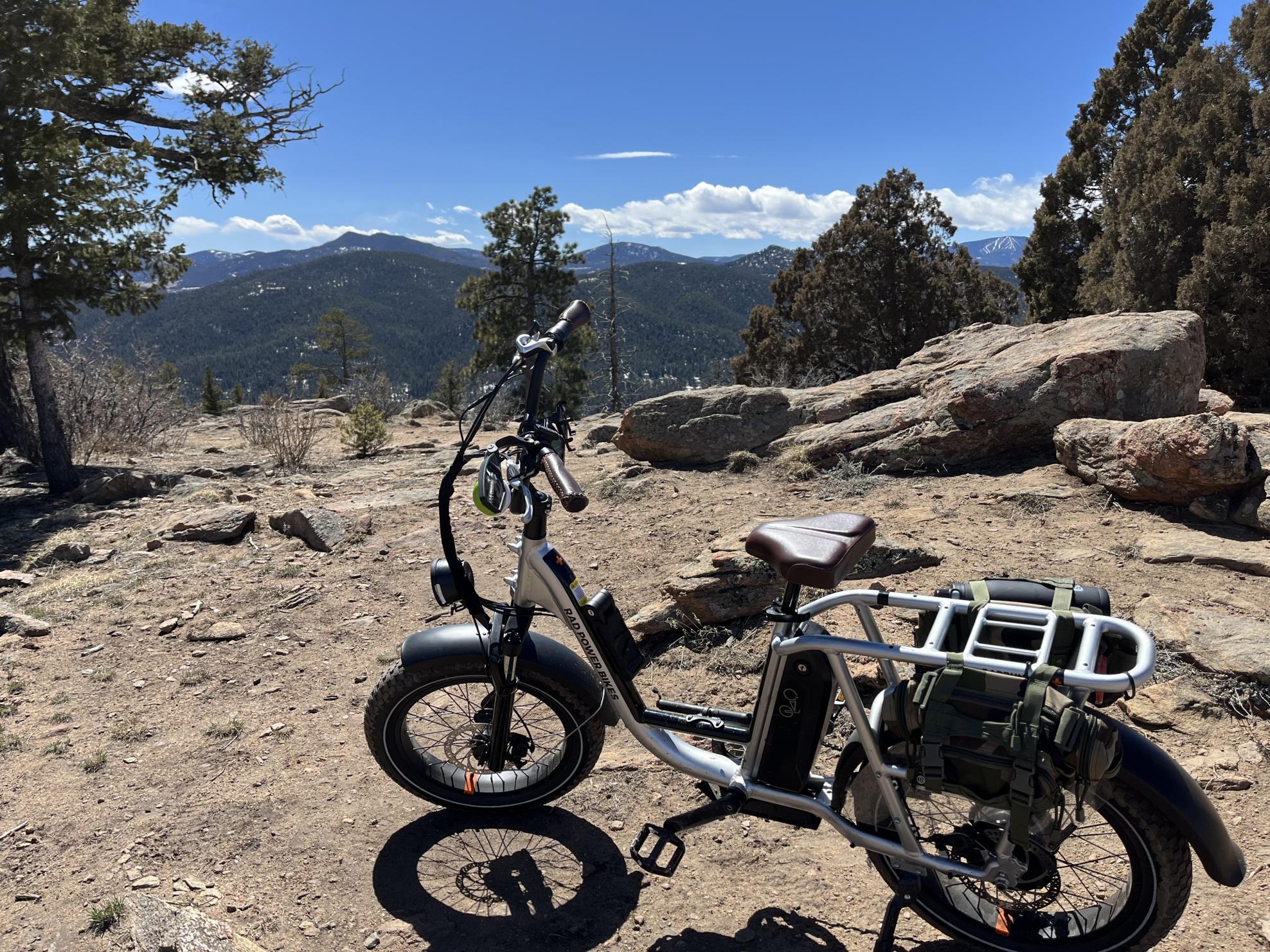 2020 Rad Power Bikes Radrunner plus Silver, gray or bare metal