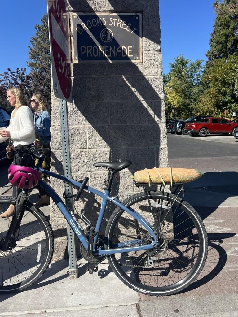 2023 REI Co-op CTY 2.1 Blue