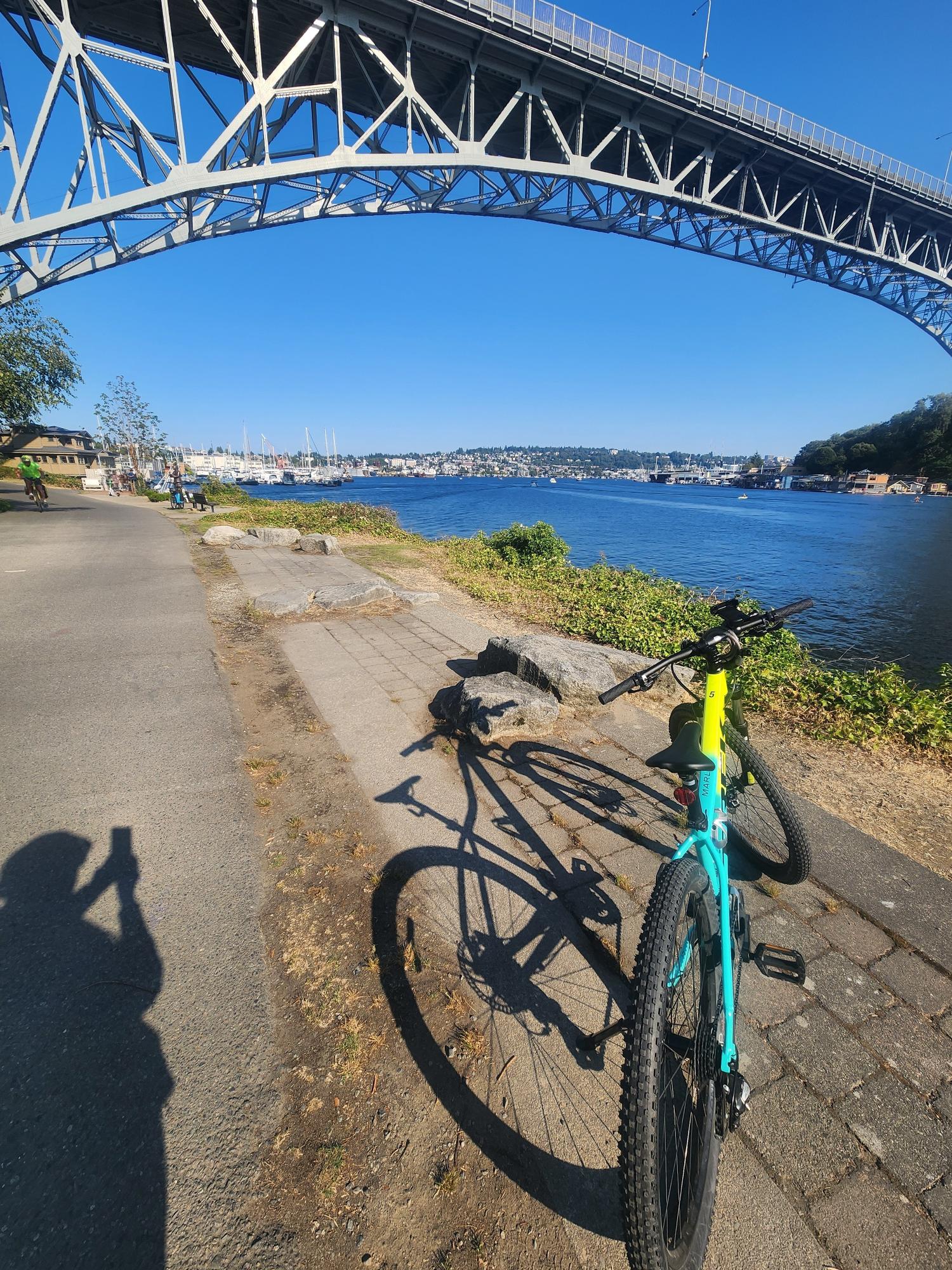 2023 Trek Marlin Blue and Green