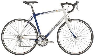 2004 Raleigh Cadent  Black