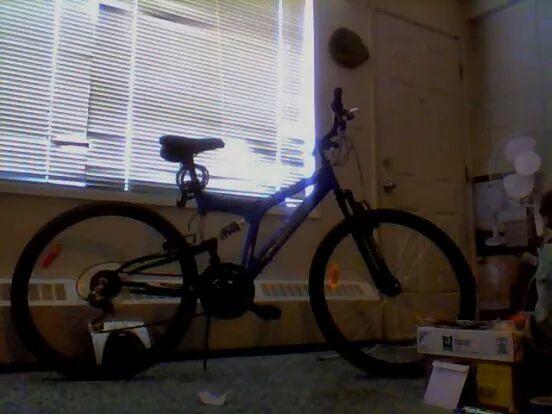 2012 Carrera bicycles surge  Blue