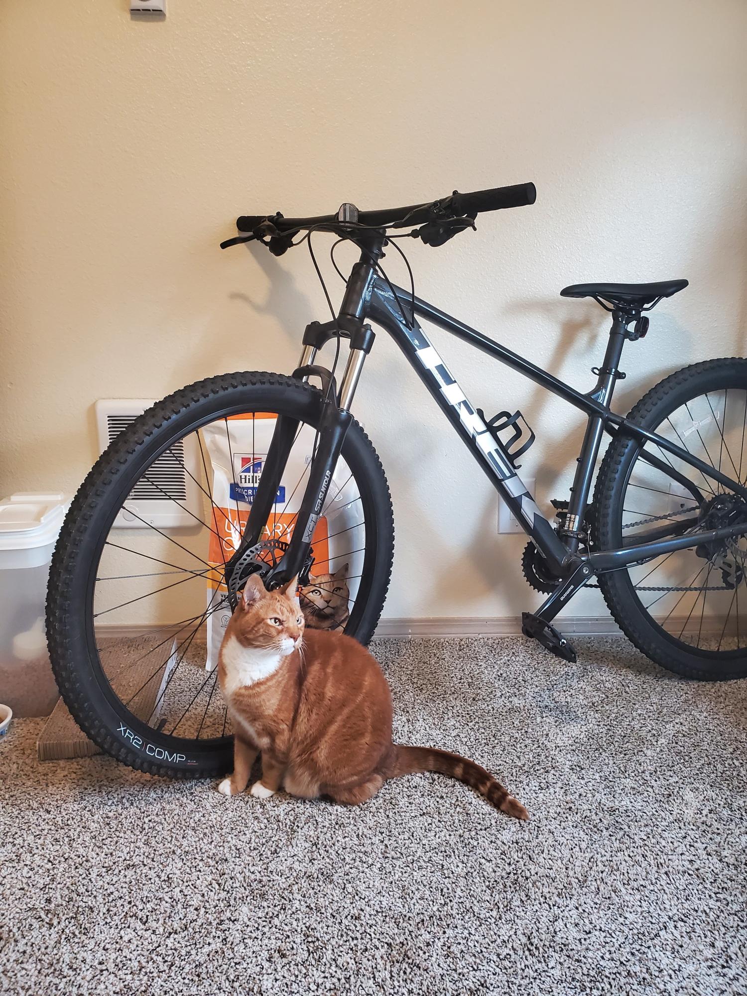 2023 Trek Marlin 5 Silver, gray or bare metal