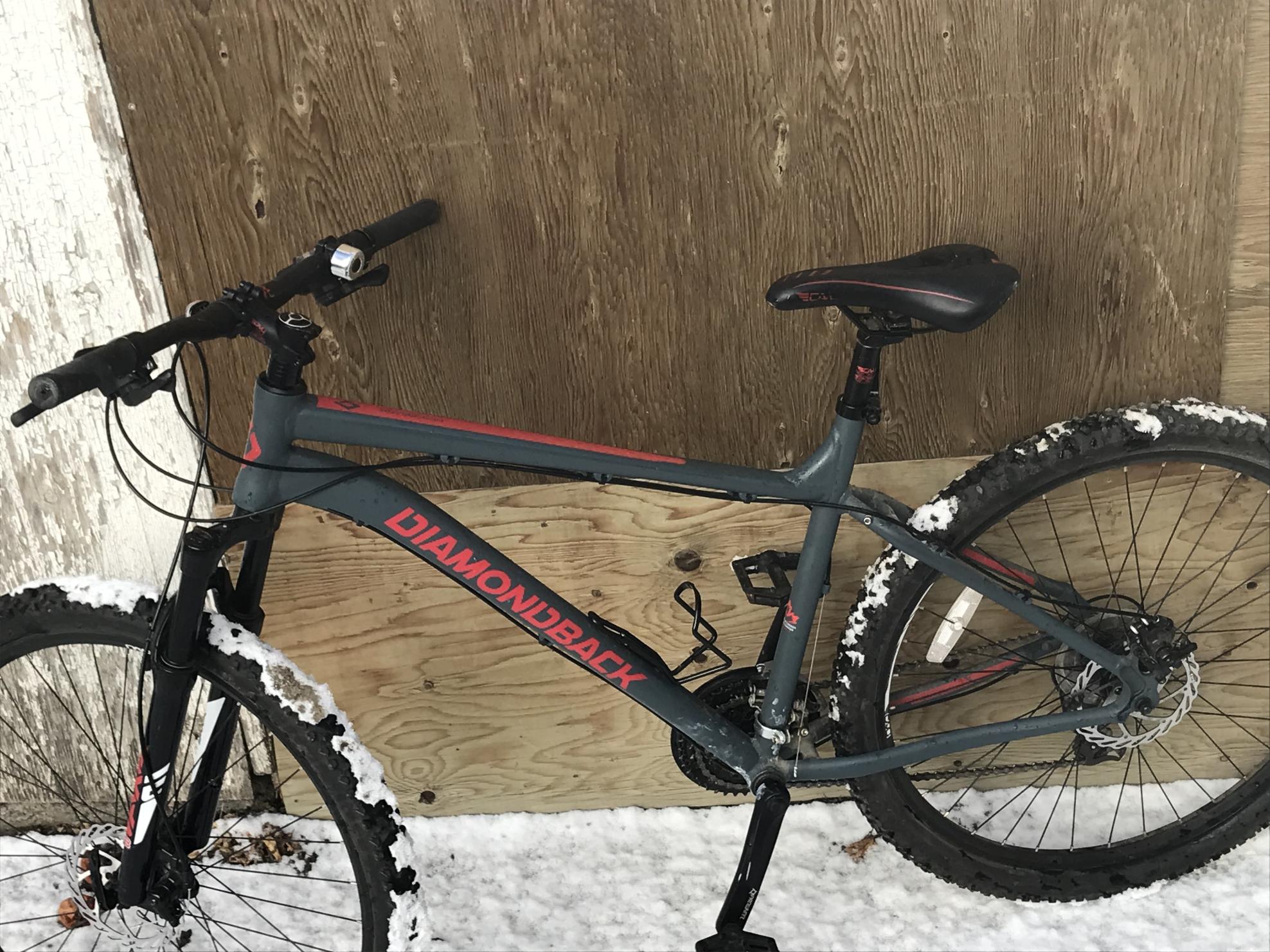 2024 Diamondback Ridgeback Silver, gray or bare metal and Red