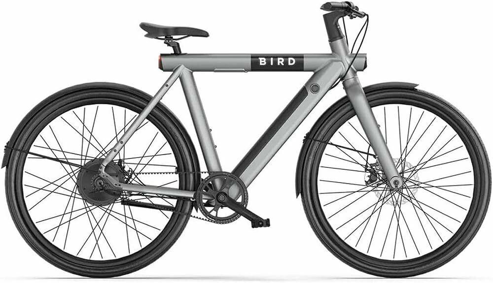 Bird A Frame Silver, gray or bare metal