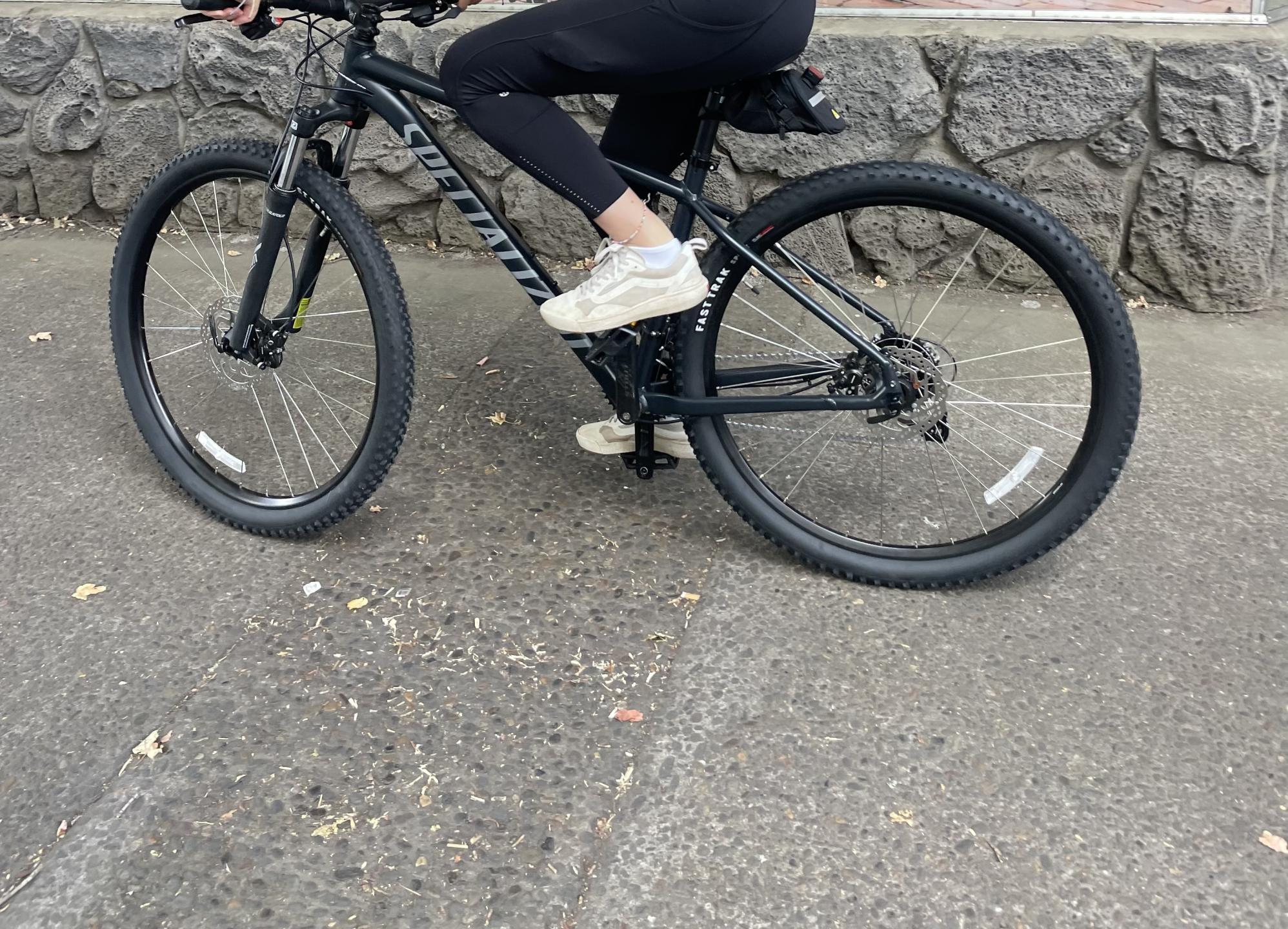 2022 Specialized Rockhopper Sport 29 Black