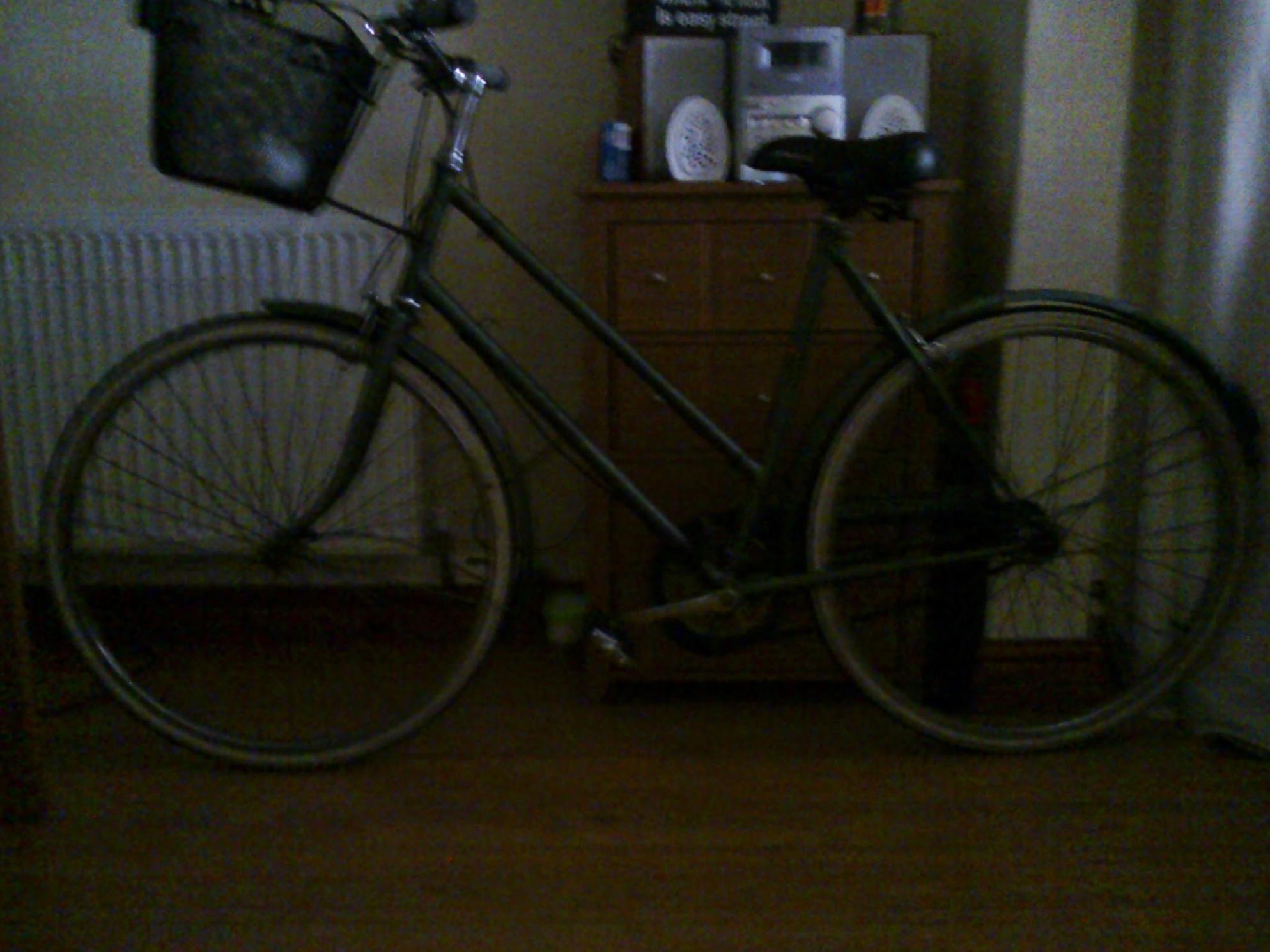 1973 Raleigh Hercules Ladies Green