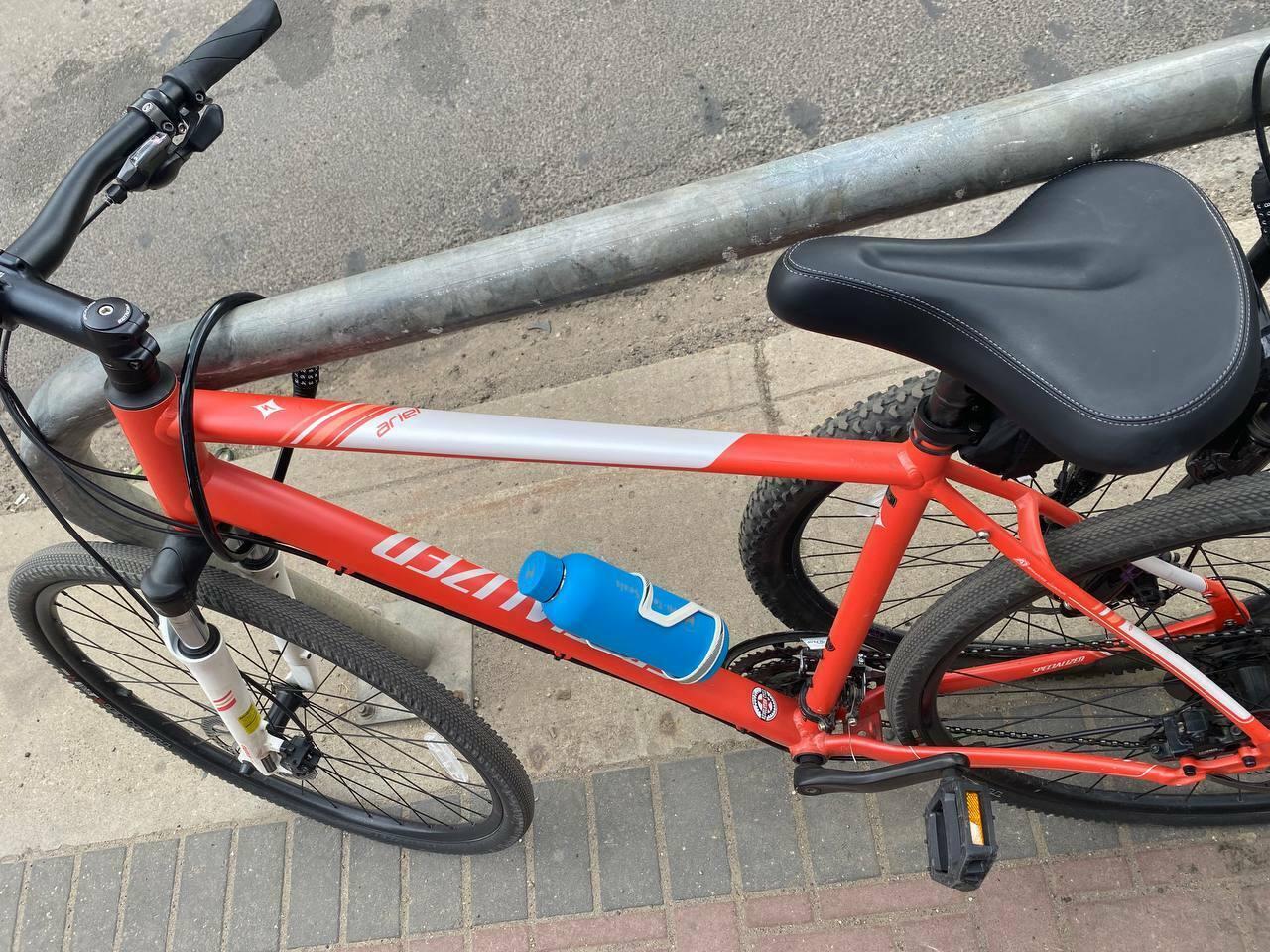 2024 Revolution Cycle XL Orange