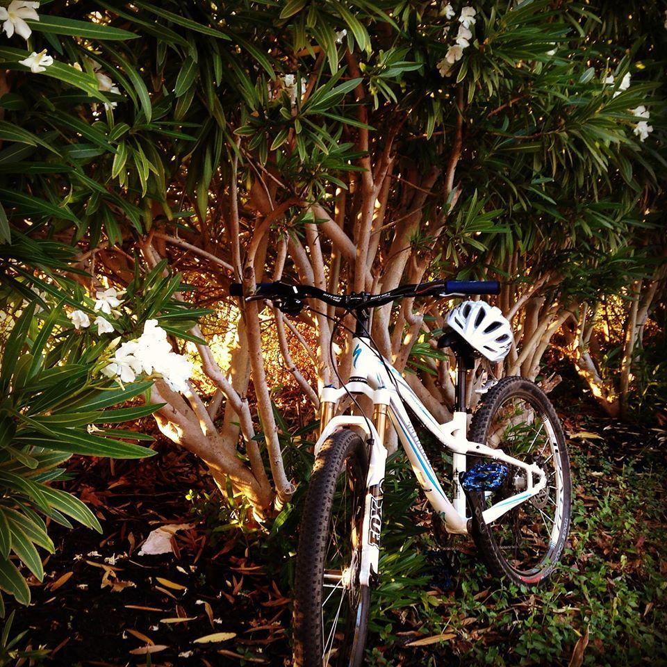 2011 Specialized Myka Sport Disc White and Blue