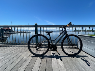 Trek Silver, gray or bare metal