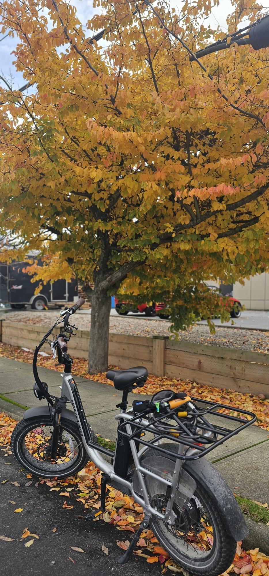 2025 Rad Power Bikes RadRunner Electric plus Silver, gray or bare metal and Black