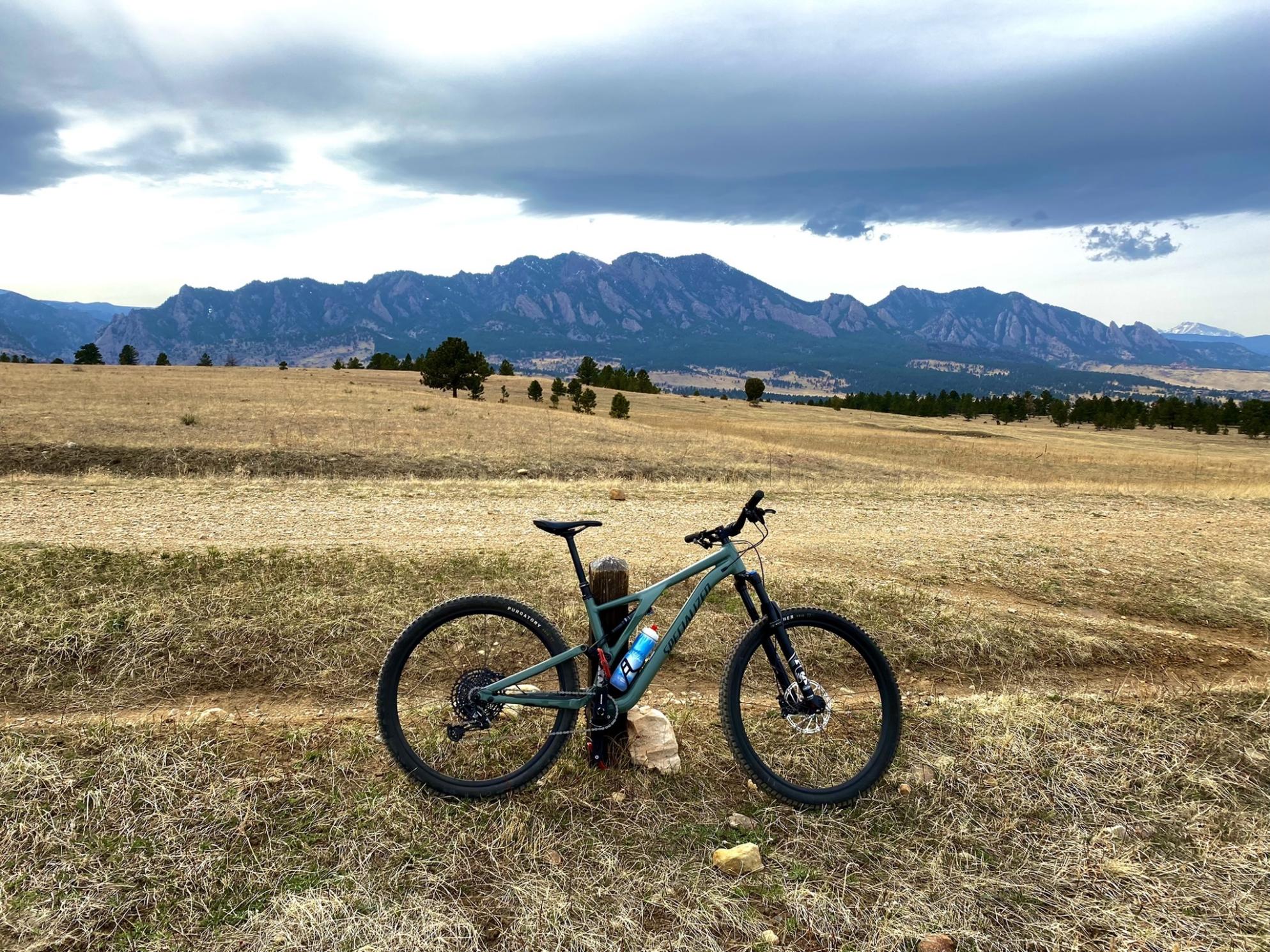 2021 Specialized Stump Jumper Green