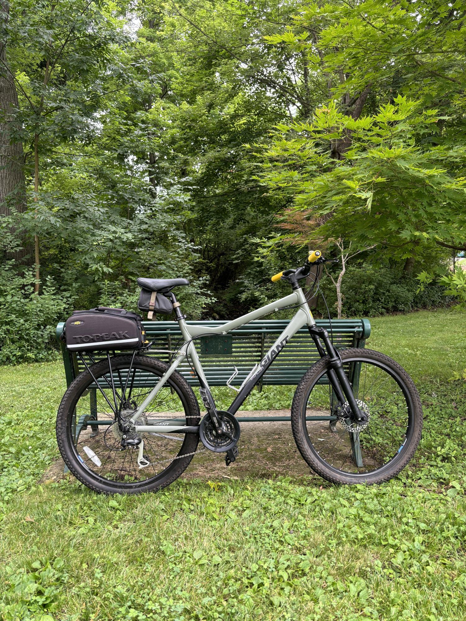 Giant Rincon Green and Black