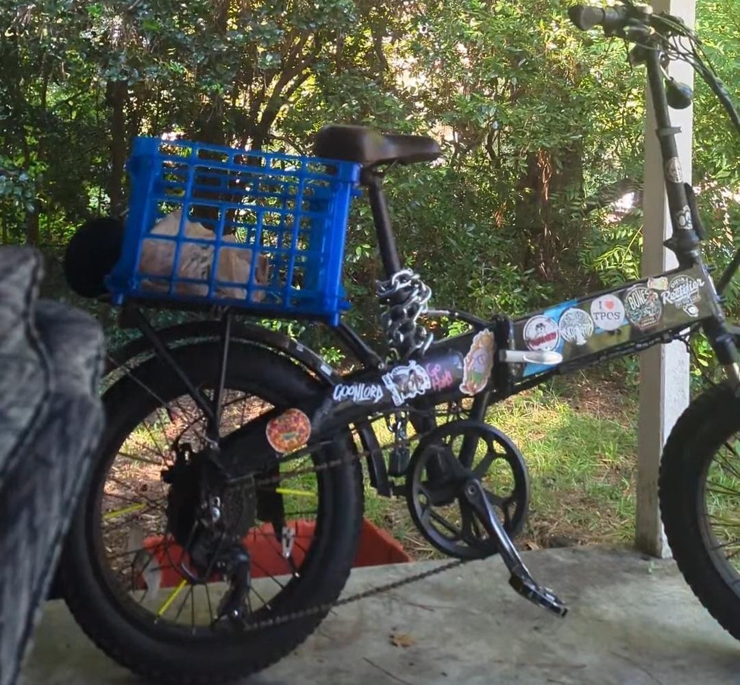 2022 Lectric eBikes Xp.2.0 Black and Blue