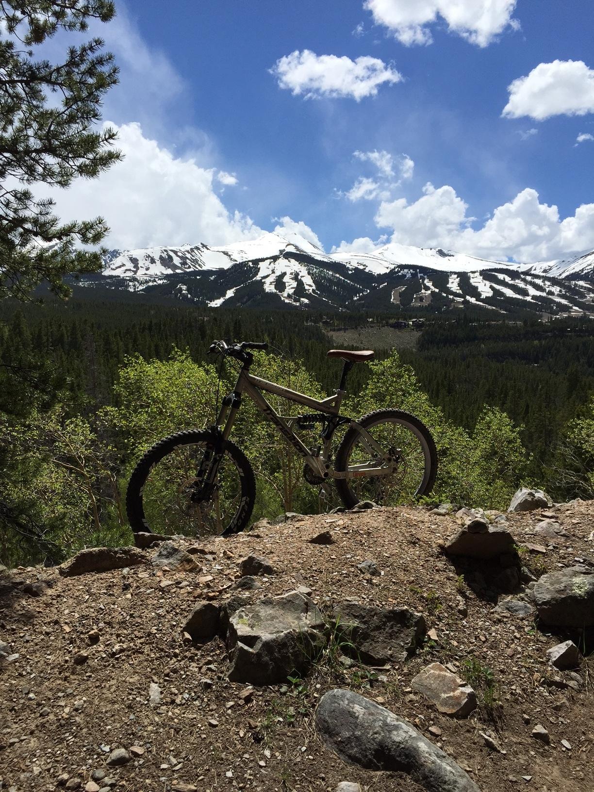 2007 Transition Bikes Preston FR Silver or Gray