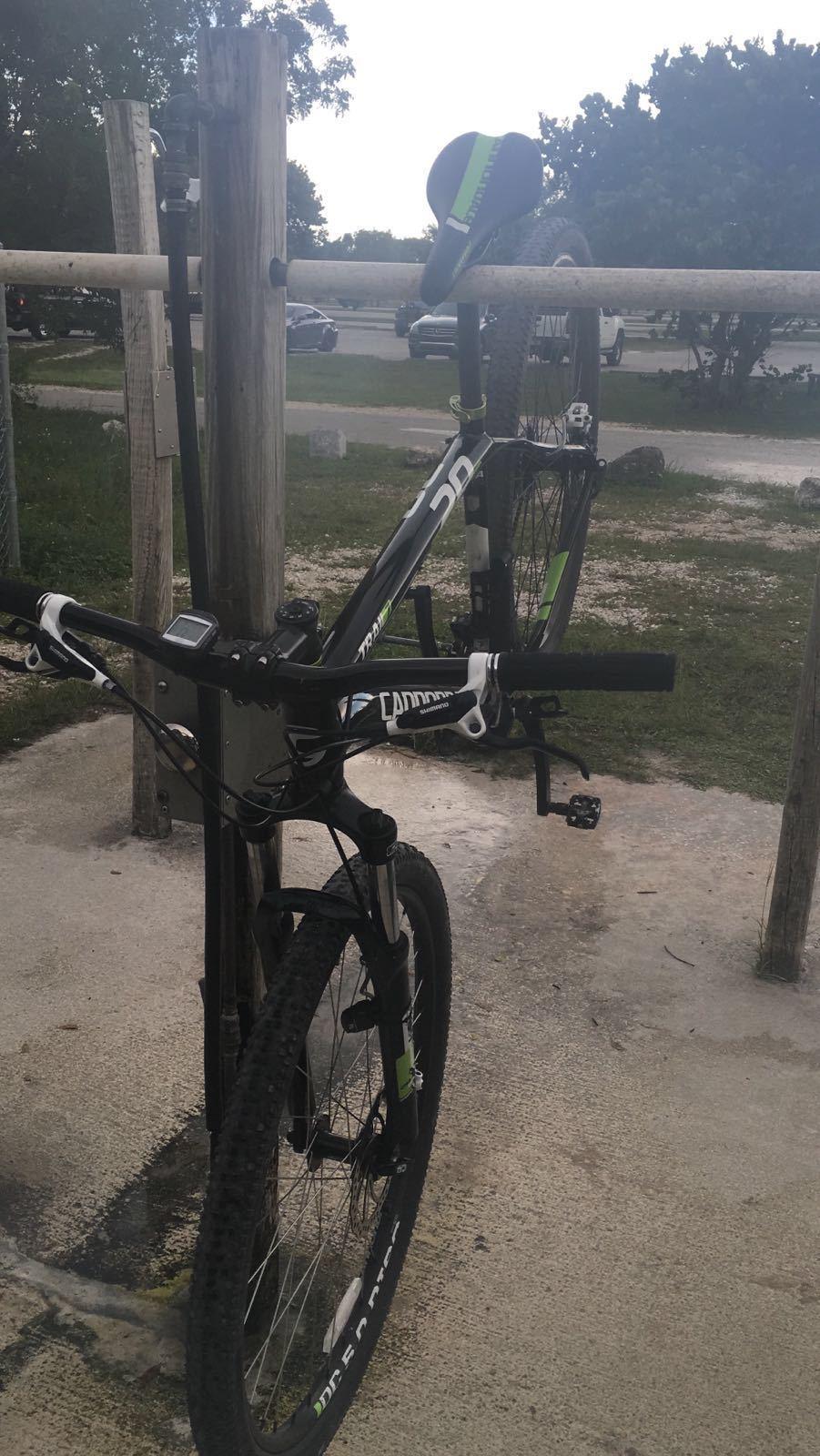 Cannondale Trail 29 7 Black, Green, and White