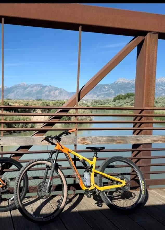 2019 Rocky Mountain Bicycles Element 30 Orange and Yellow or Gold