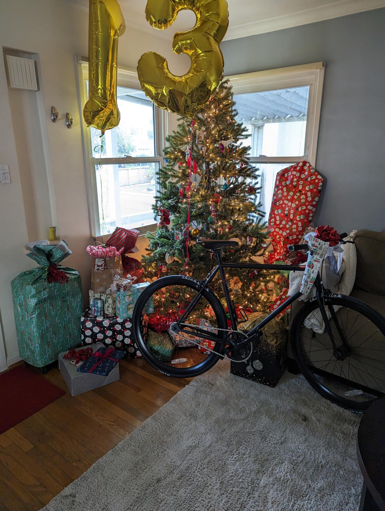 2022 Fuji Declaration Black