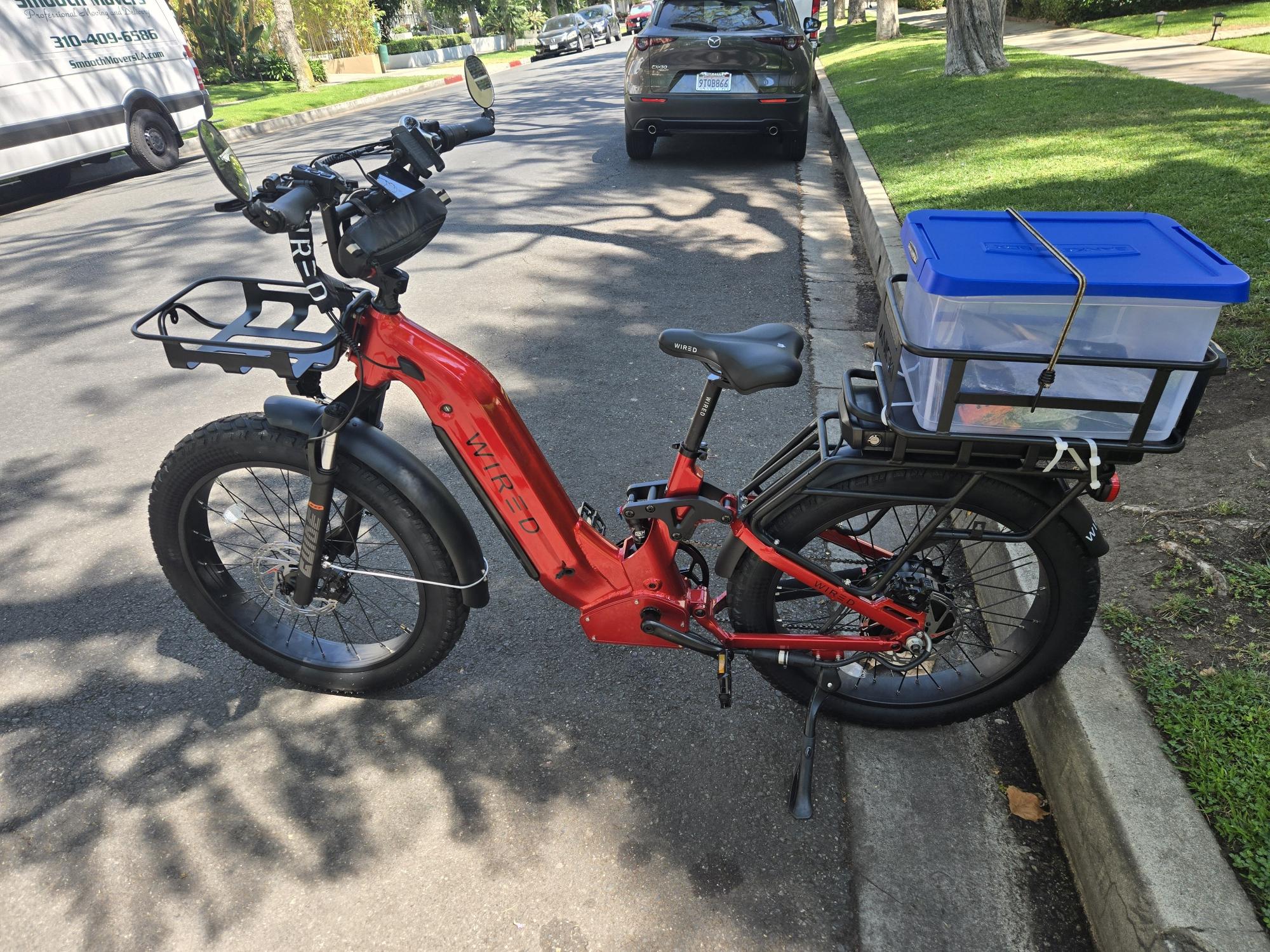 2025 Wired Scout Red