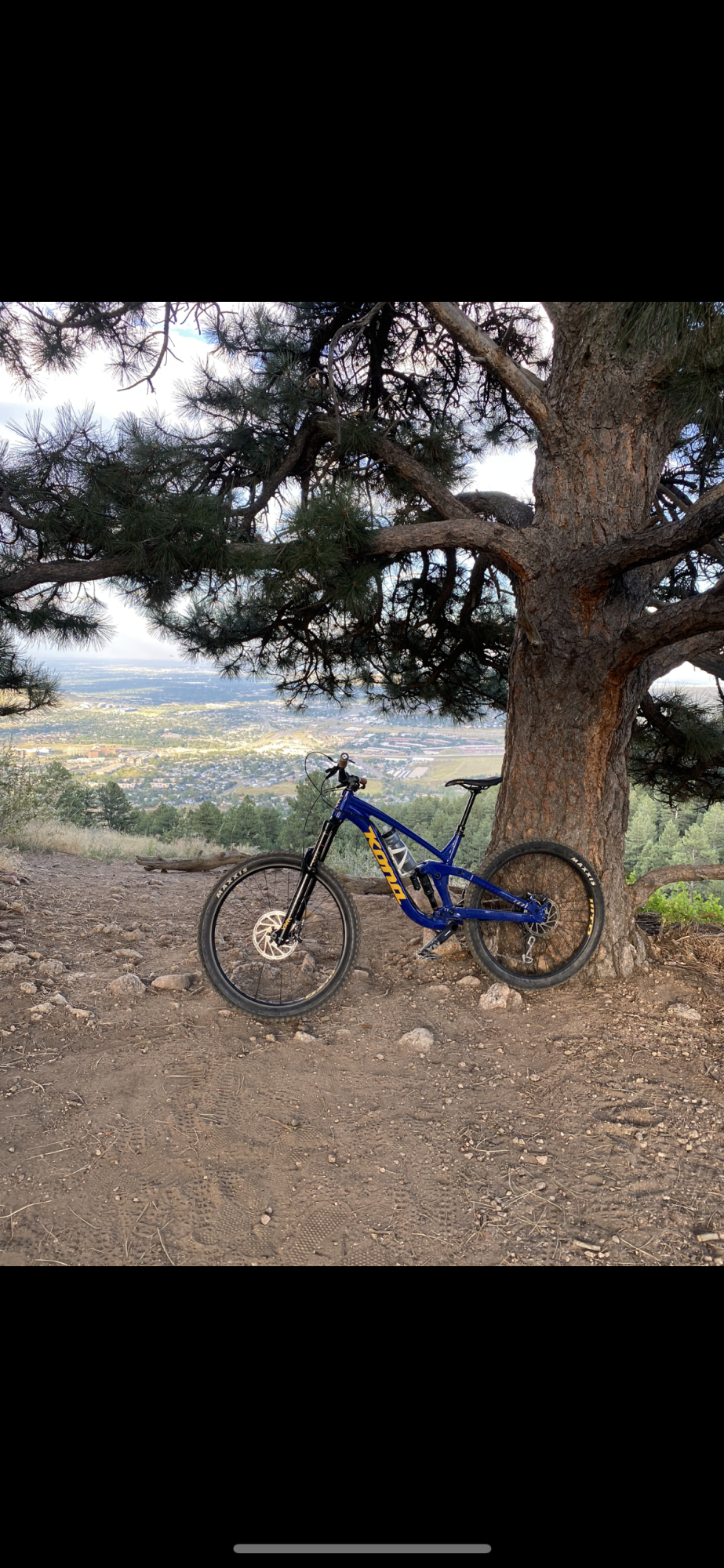 2019 Kona Process 153 Blue