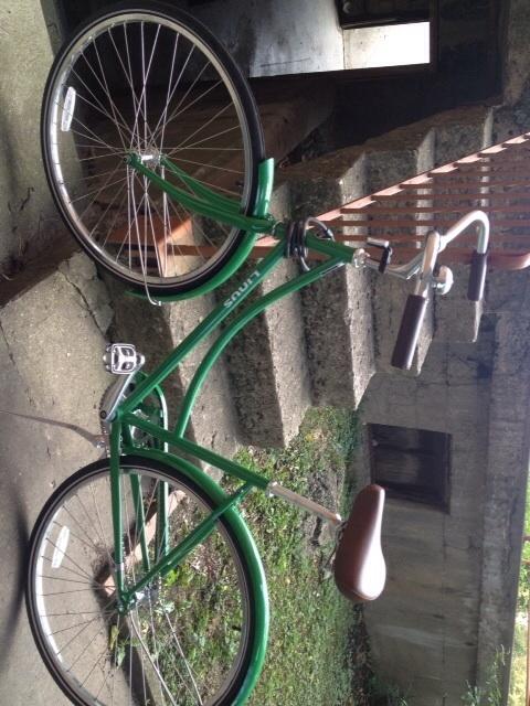 2013 Linus Dutchi-1  Green